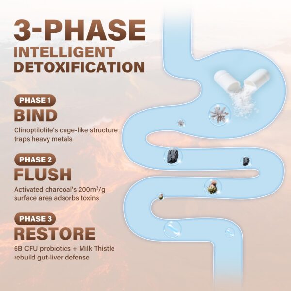 Zeolite Detox Supplement - Image 5